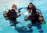 Croatia Diving: PADI course students practise